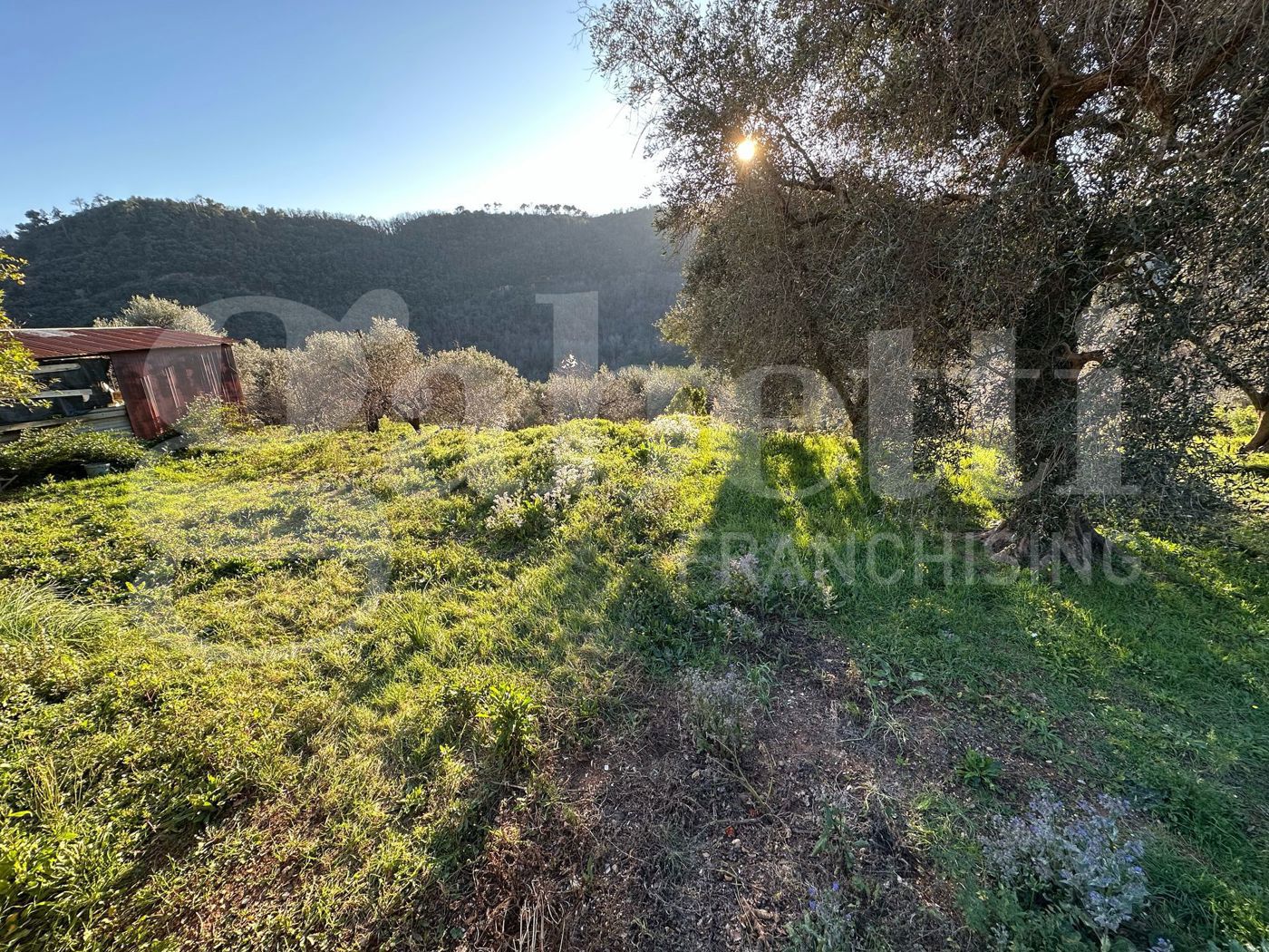 Terreno Edificabile in vendita a Ortovero