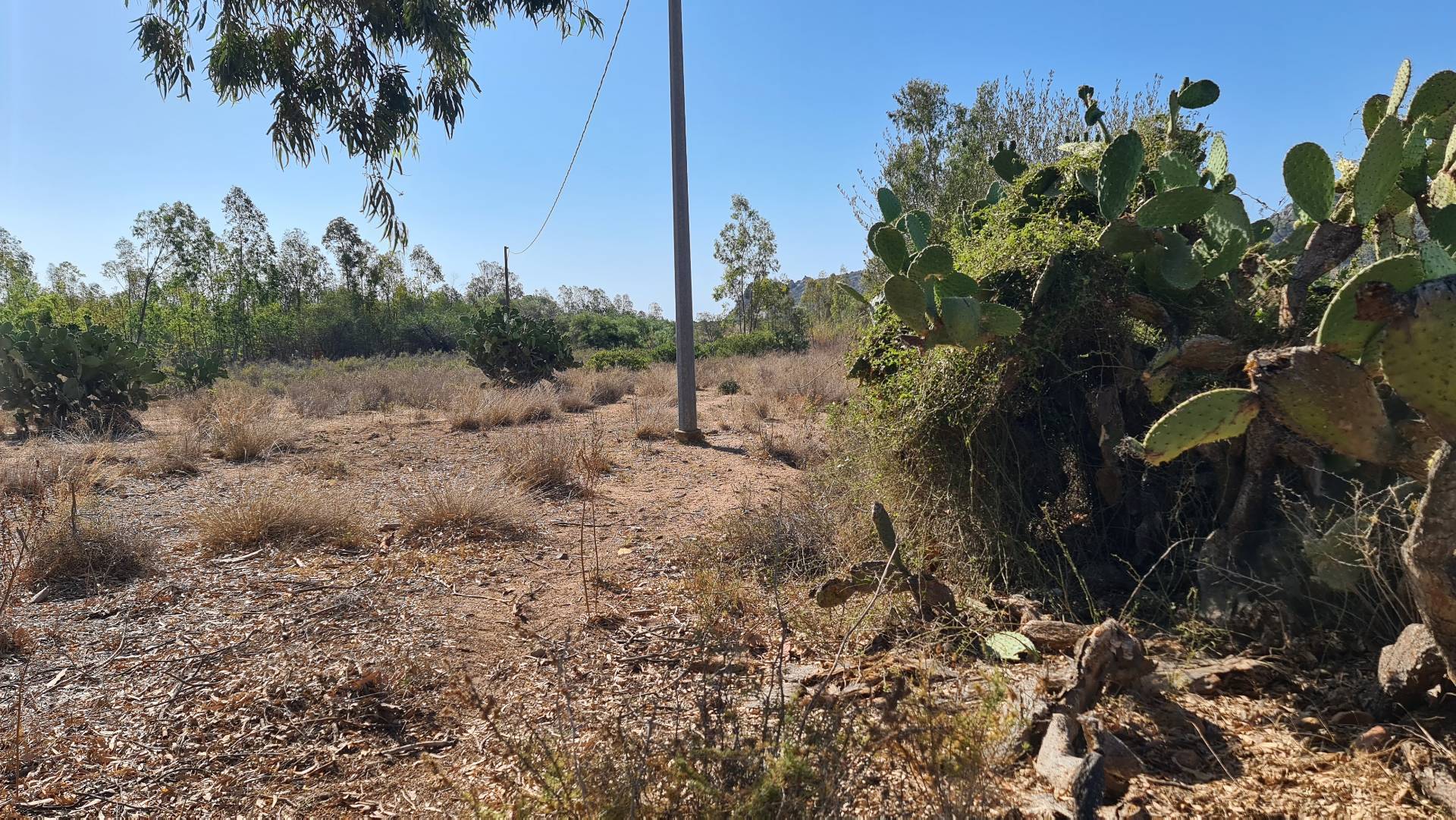 Terreno in vendita a Muravera