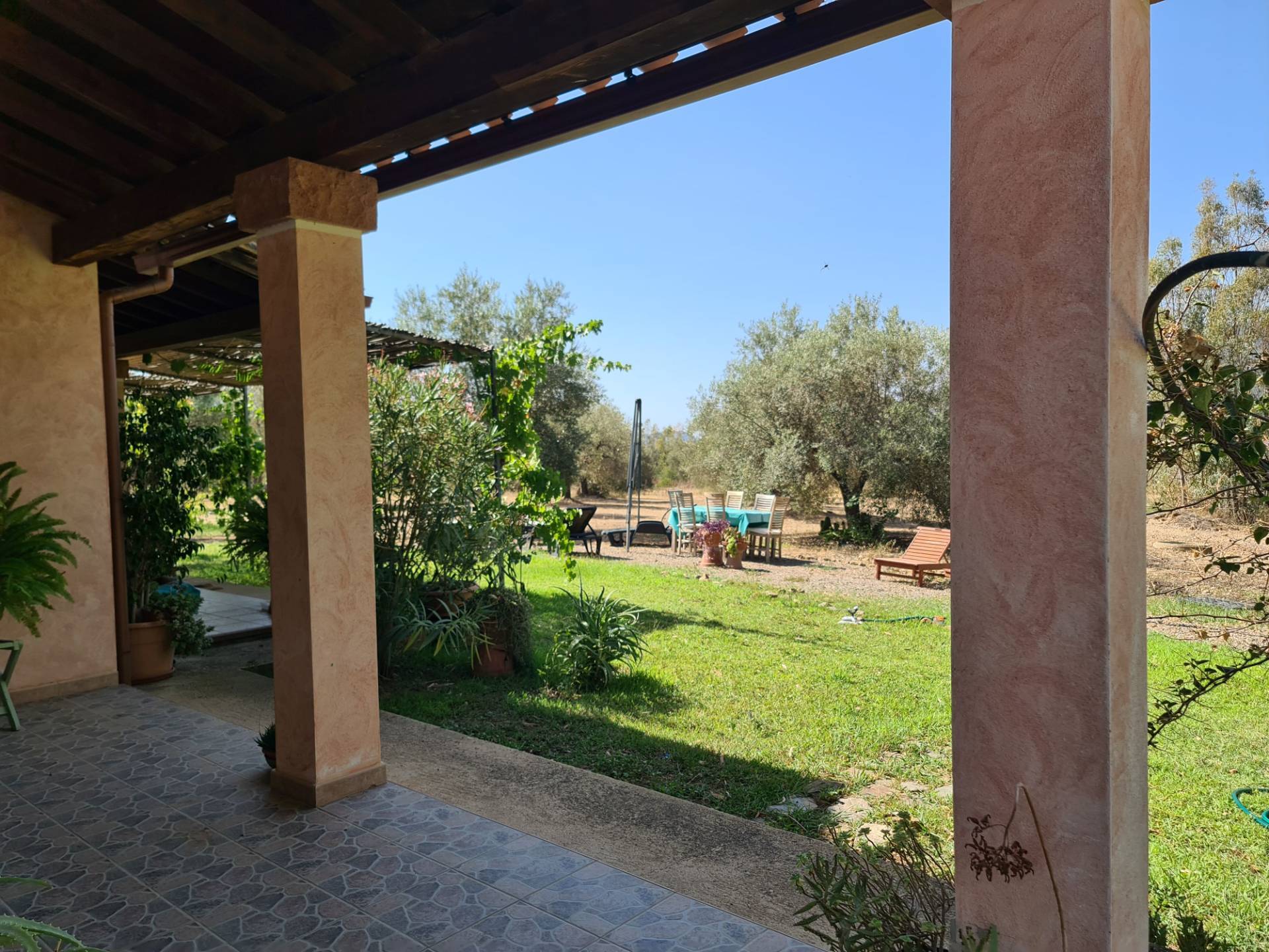 immagine annuncio 5 di 6