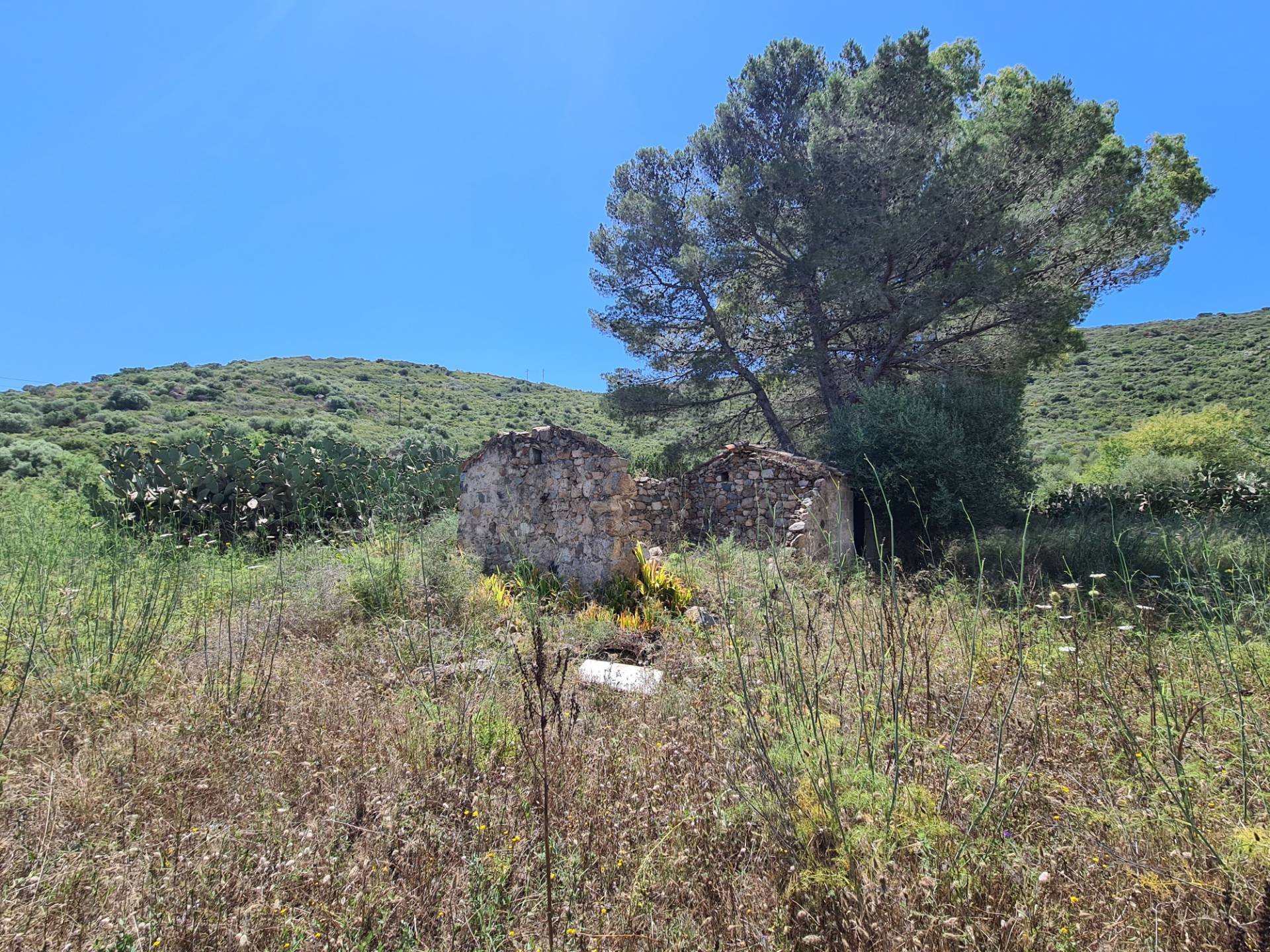 immagine annuncio 3 di 6