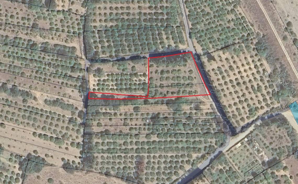 Terreno Agricolo in vendita a San Vito