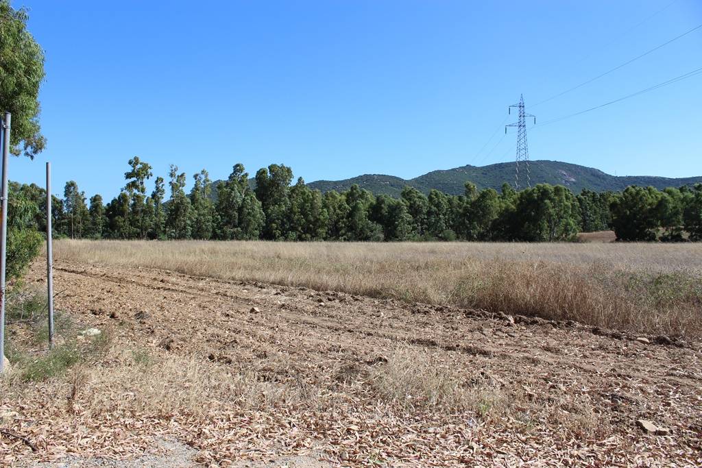 Terreno Agricolo in vendita a Castiadas