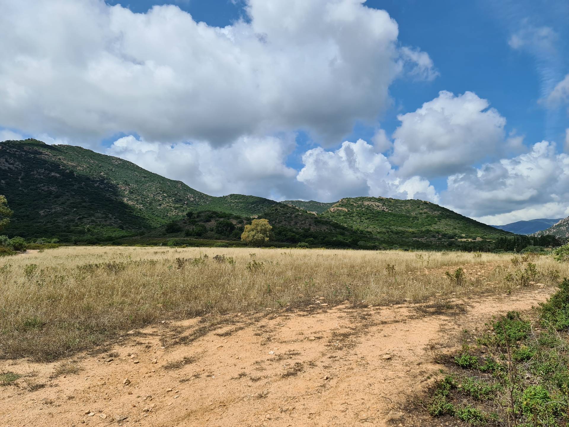 Terreno Agricolo in vendita a San Vito