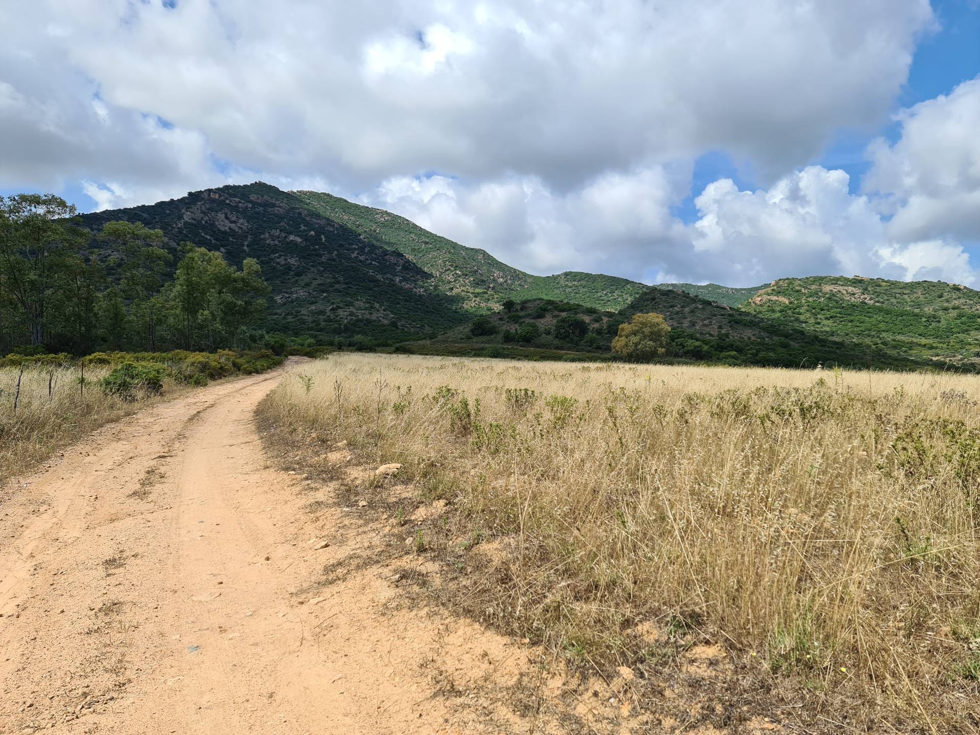 Terreno Agricolo in vendita a San Vito