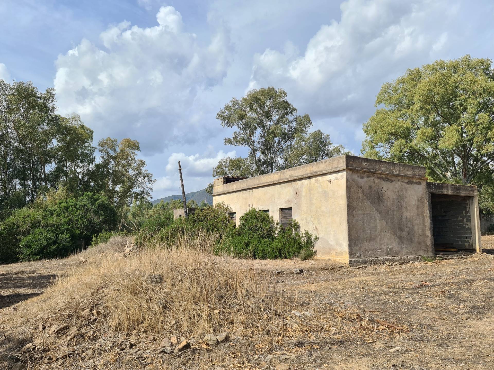 Terreno Agricolo in vendita a San Vito