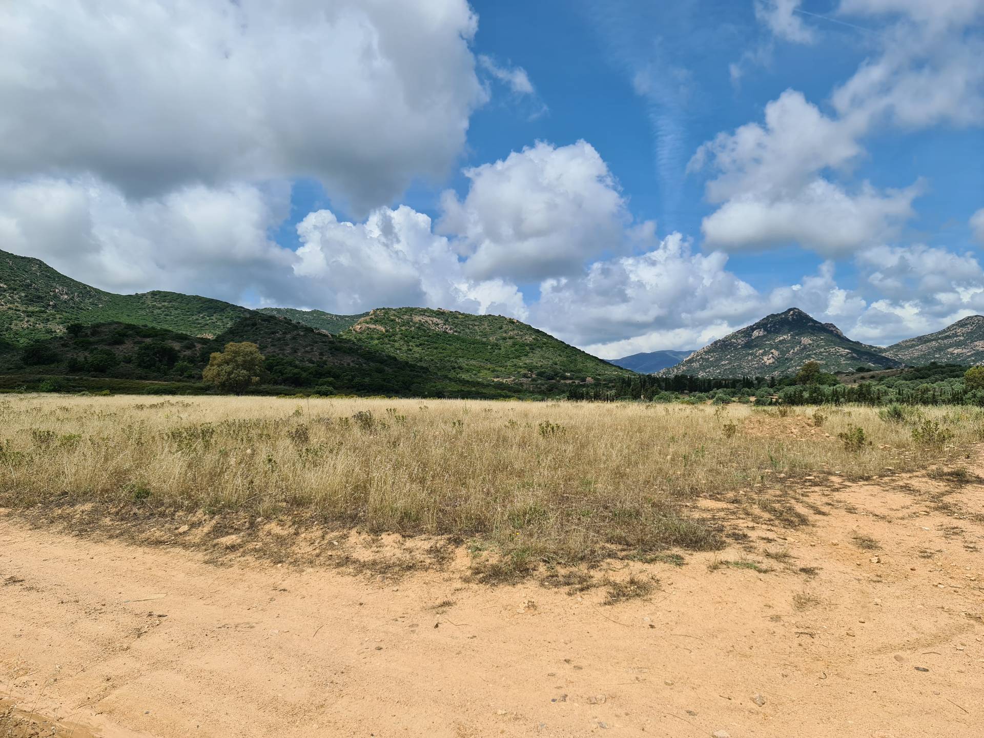 Terreno Agricolo in vendita a San Vito