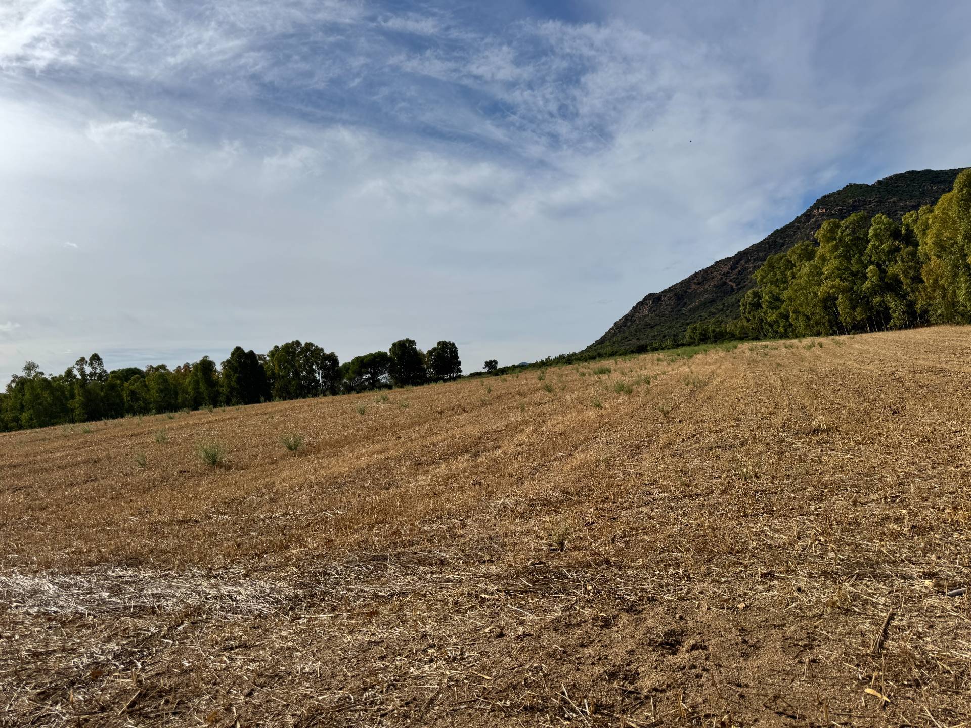 Terreno Agricolo in vendita a San Vito