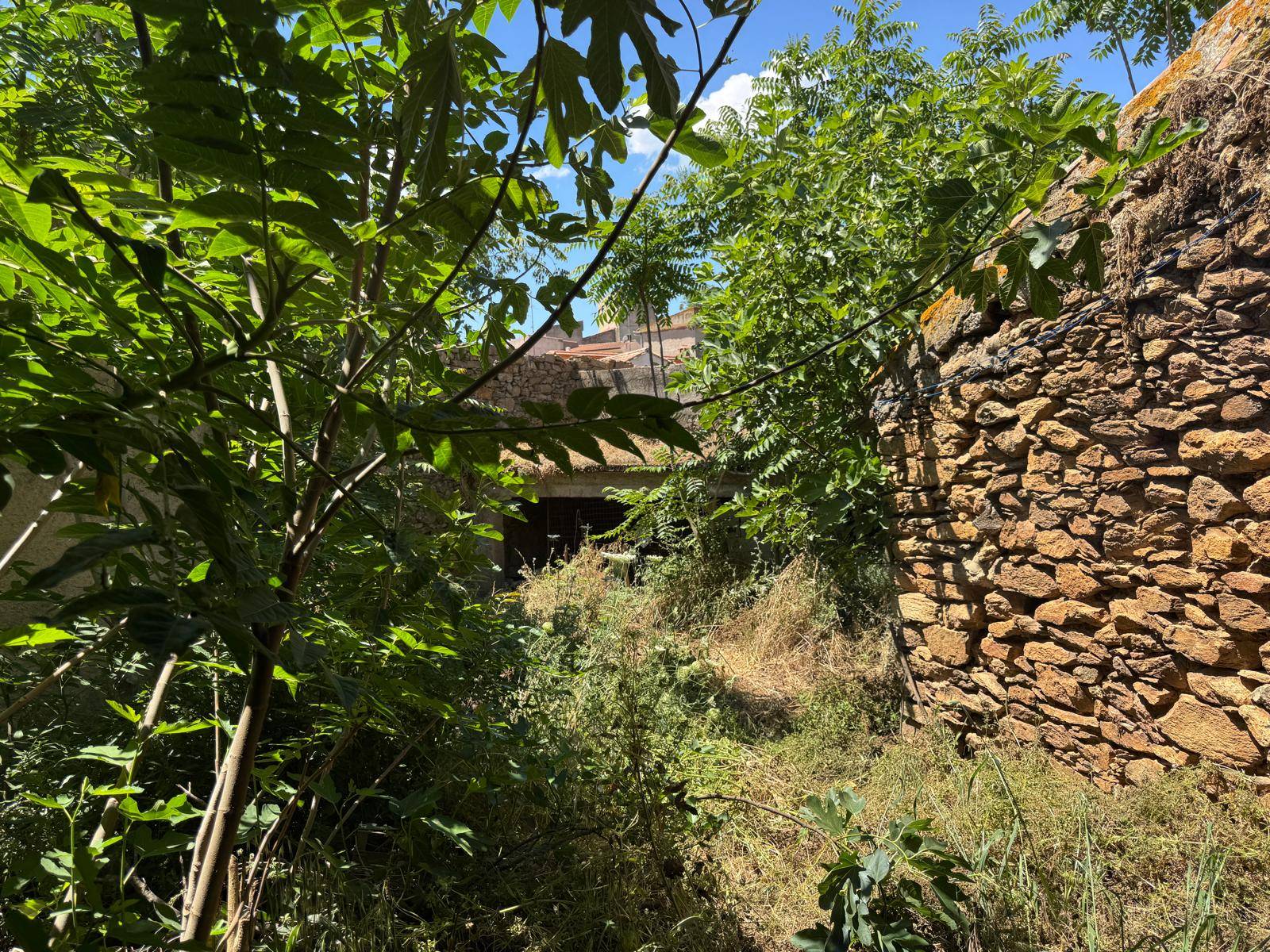 Casa singola in vendita a Armungia