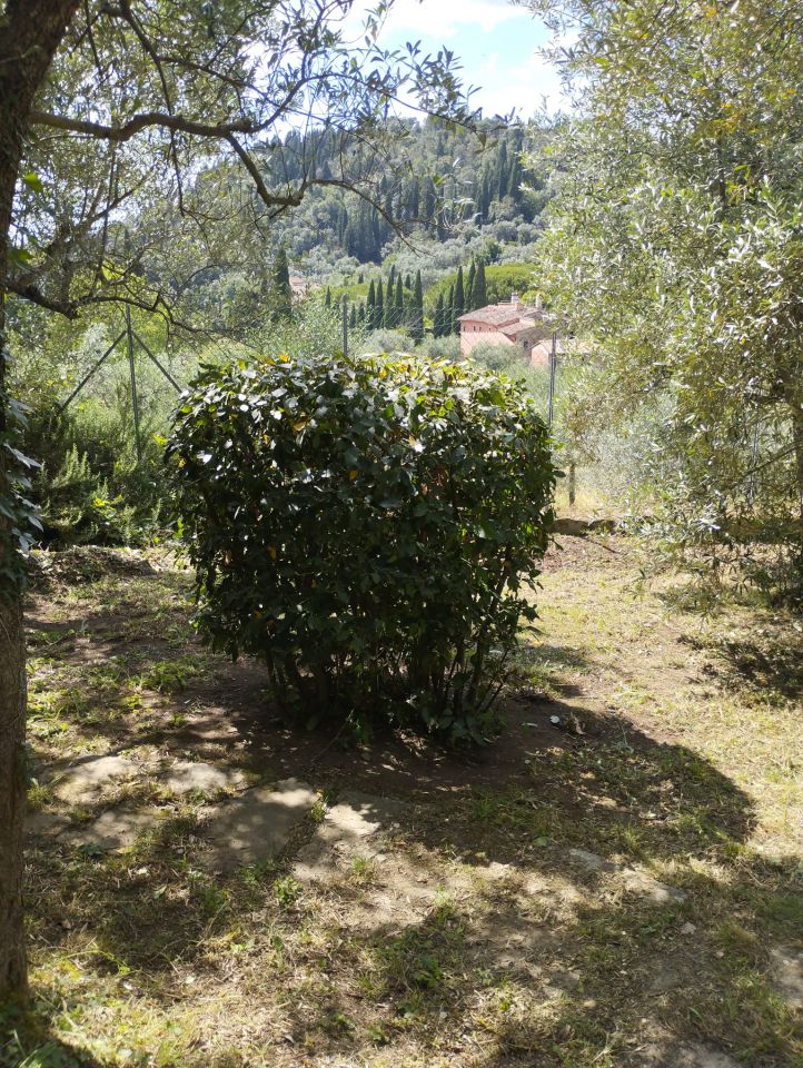 Appartamento con giardino a Firenze