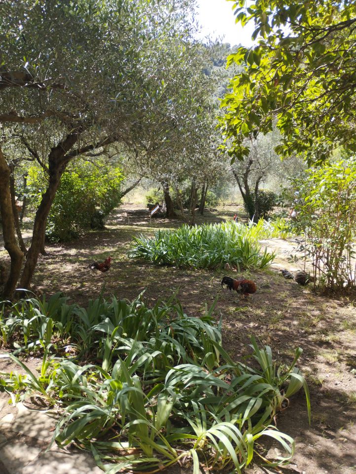Appartamento con giardino a Firenze