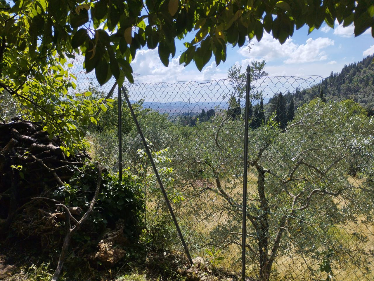 Appartamento con giardino a Firenze