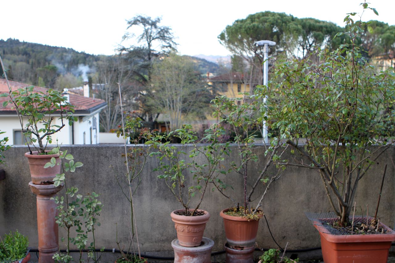 Attico con terrazzo a Fiesole