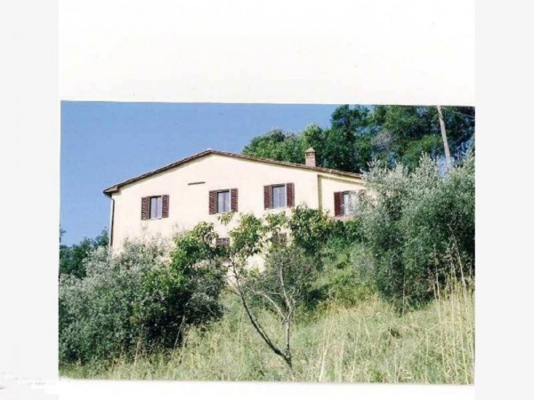 Villa con giardino, Civitella Paganico casale di pari