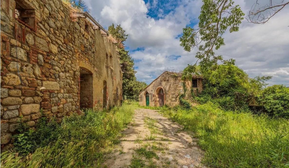 immagine annuncio 4 di 6