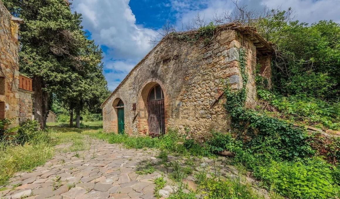 immagine annuncio 5 di 6