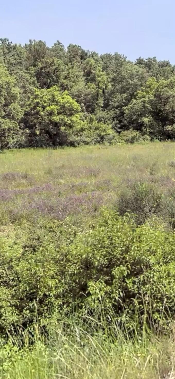Terreno Agricolo in vendita, Siena ferratore