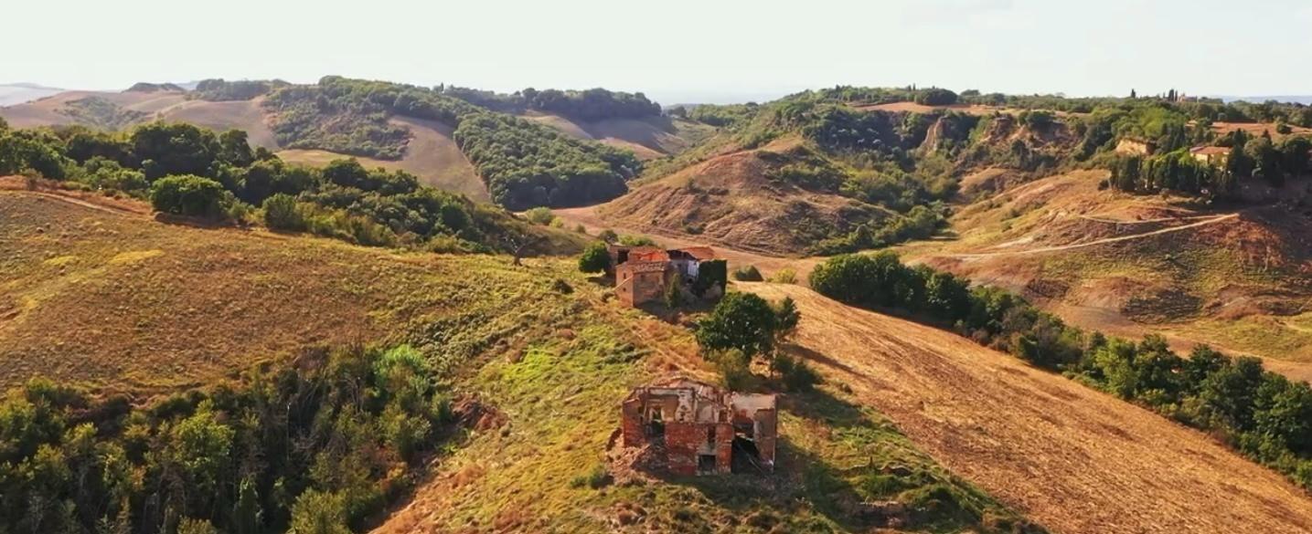 Rustico con giardino a Asciano