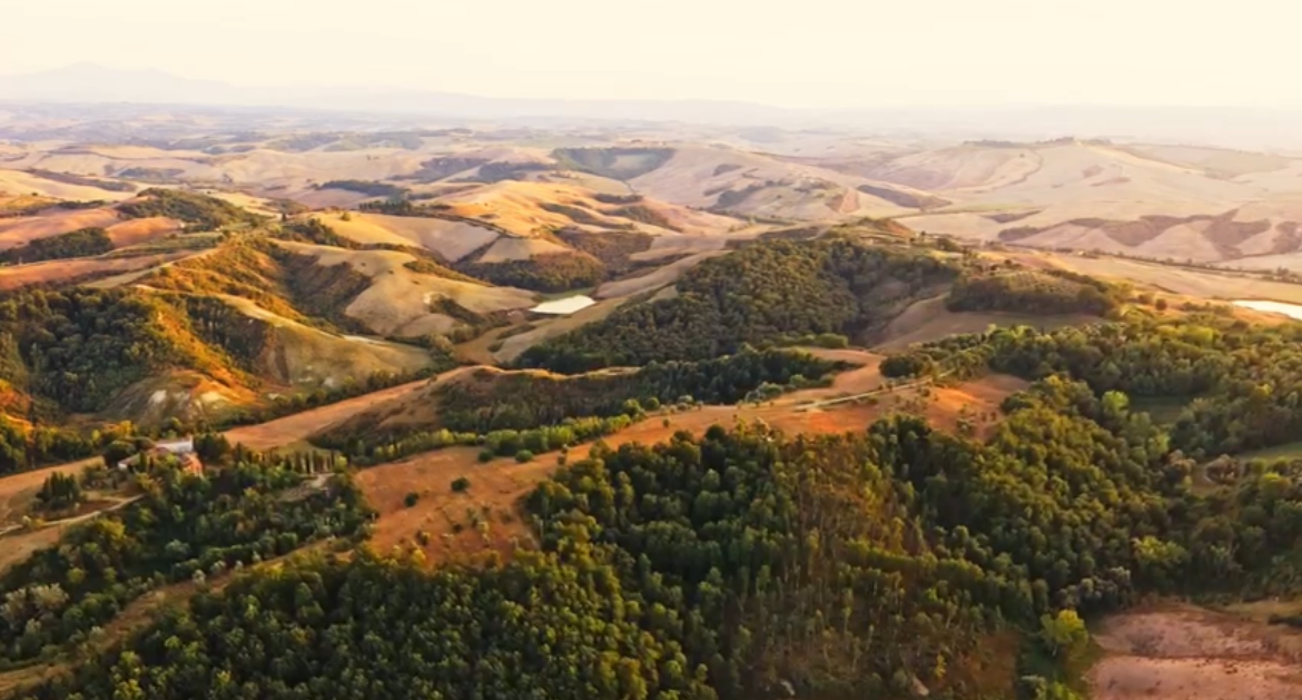 Rustico con giardino a Asciano