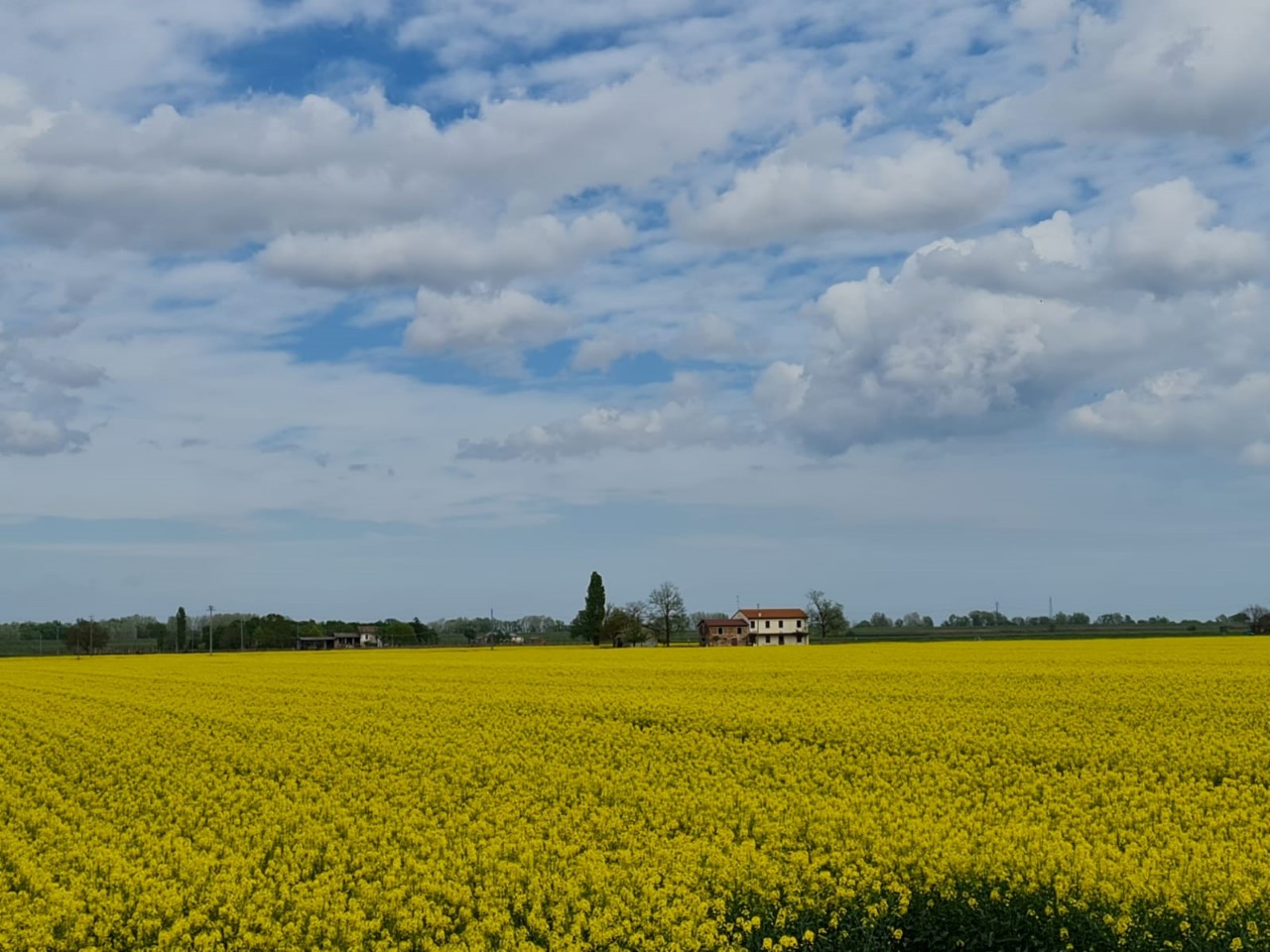Rustico con giardino a Fossombrone