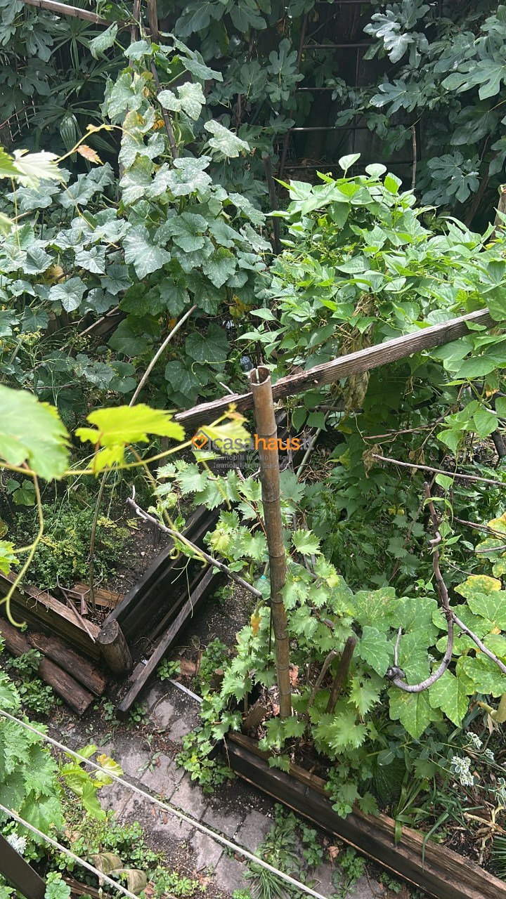 Casa indipendente con giardino a Termeno sulla Strada del Vino