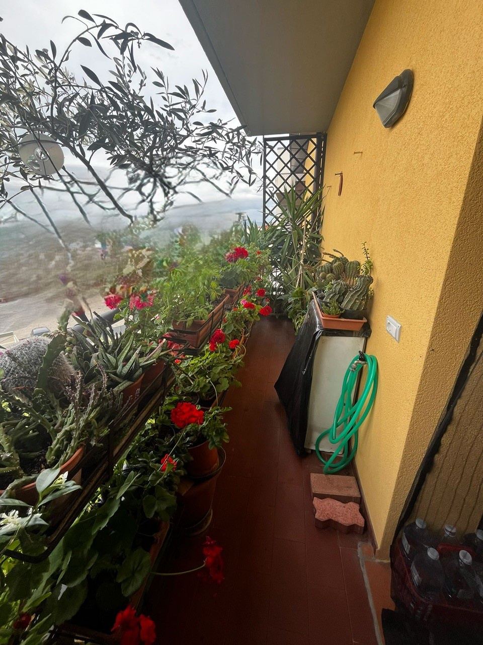 Quadrilocale con terrazzo in via donatello, Poggio a Caiano