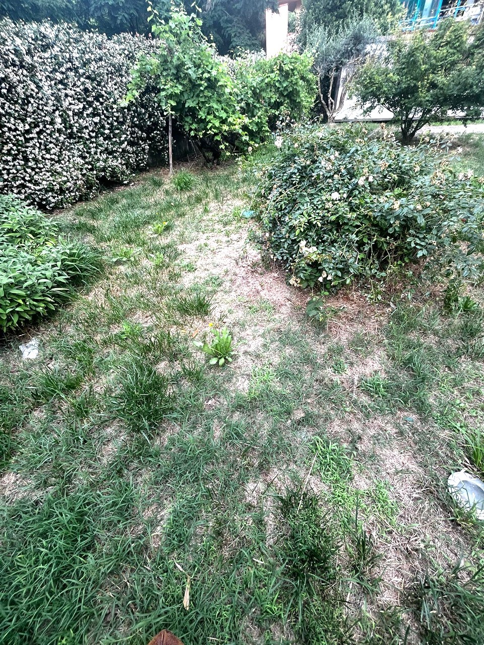 Villa con giardino in via san lorenzo, Campi Bisenzio