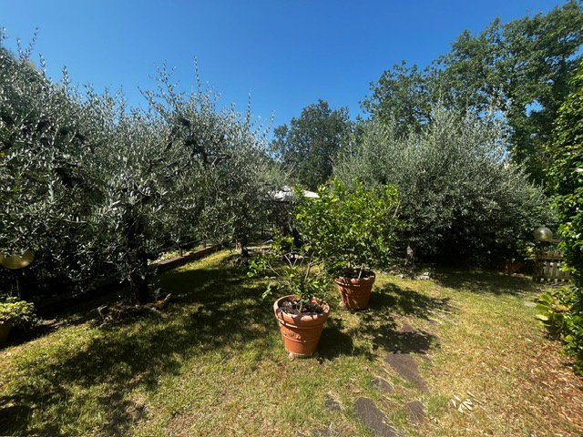 Villa con giardino in via tommaso moro, Carmignano