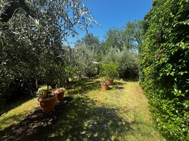Villa con giardino in via tommaso moro, Carmignano