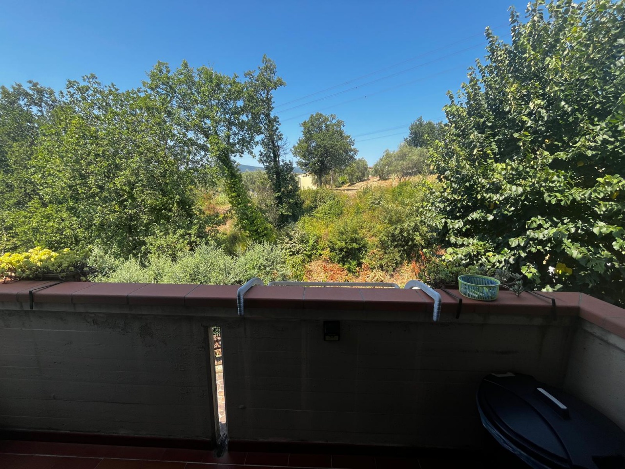 Villa con giardino in via tommaso moro, Carmignano