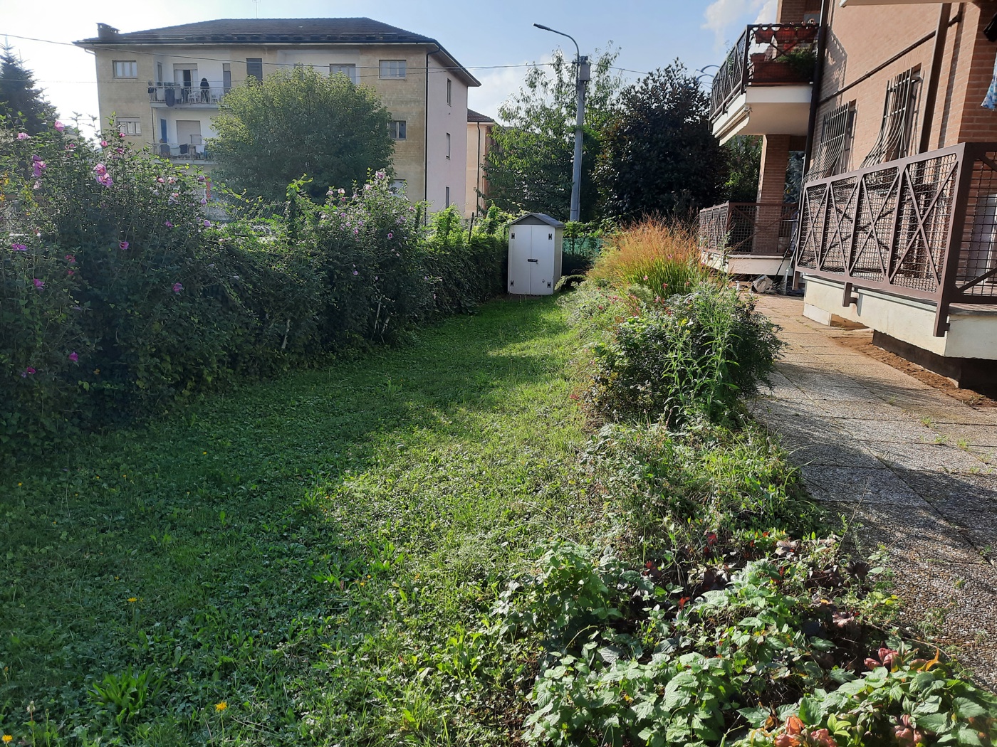 Quadrilocale con giardino a Avigliana