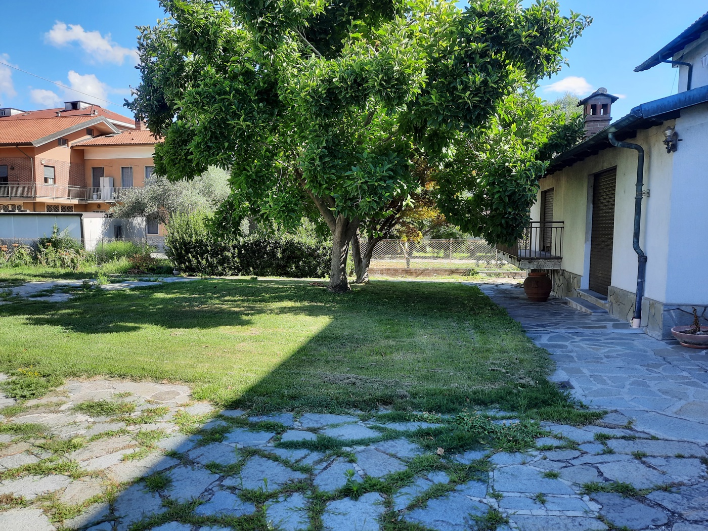 immagine annuncio 3 di 10