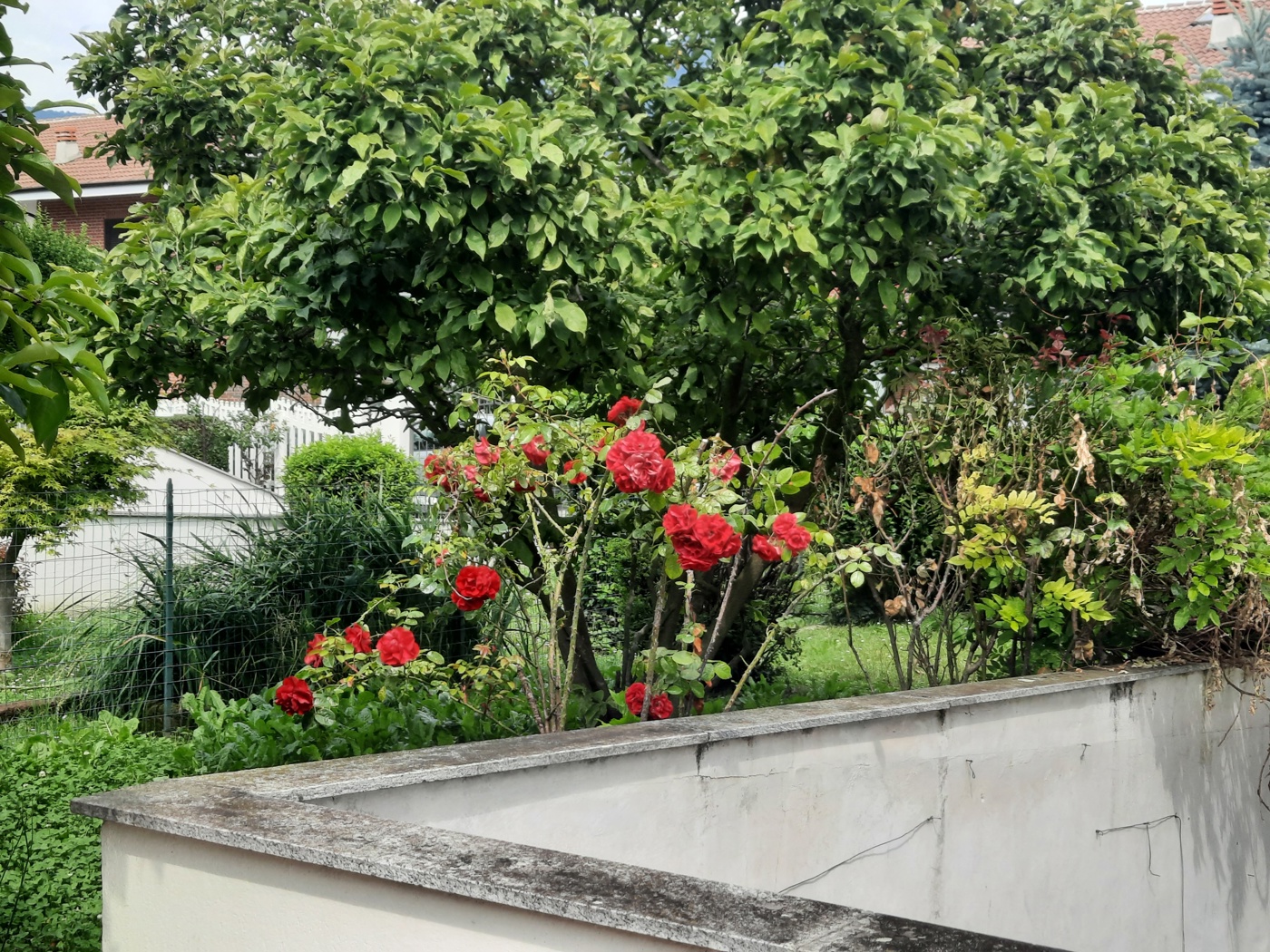 Villa con giardino a Avigliana