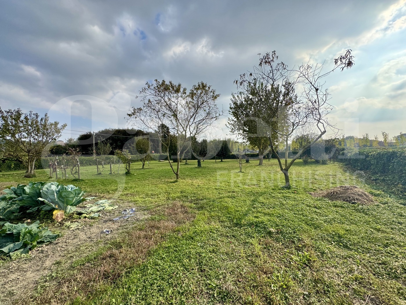 Casa indipendente con giardino a Moncalieri