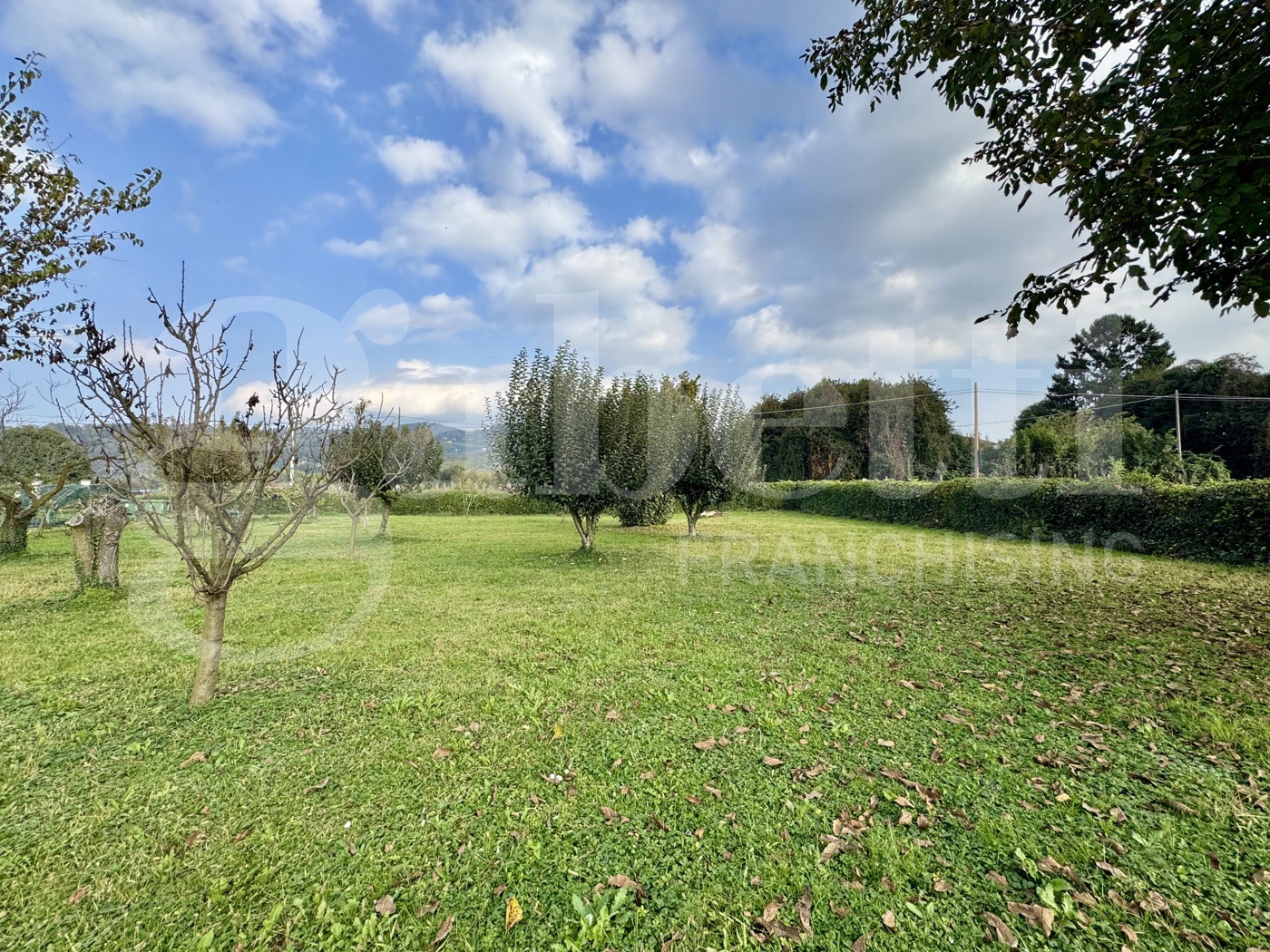 Casa indipendente con giardino a Moncalieri