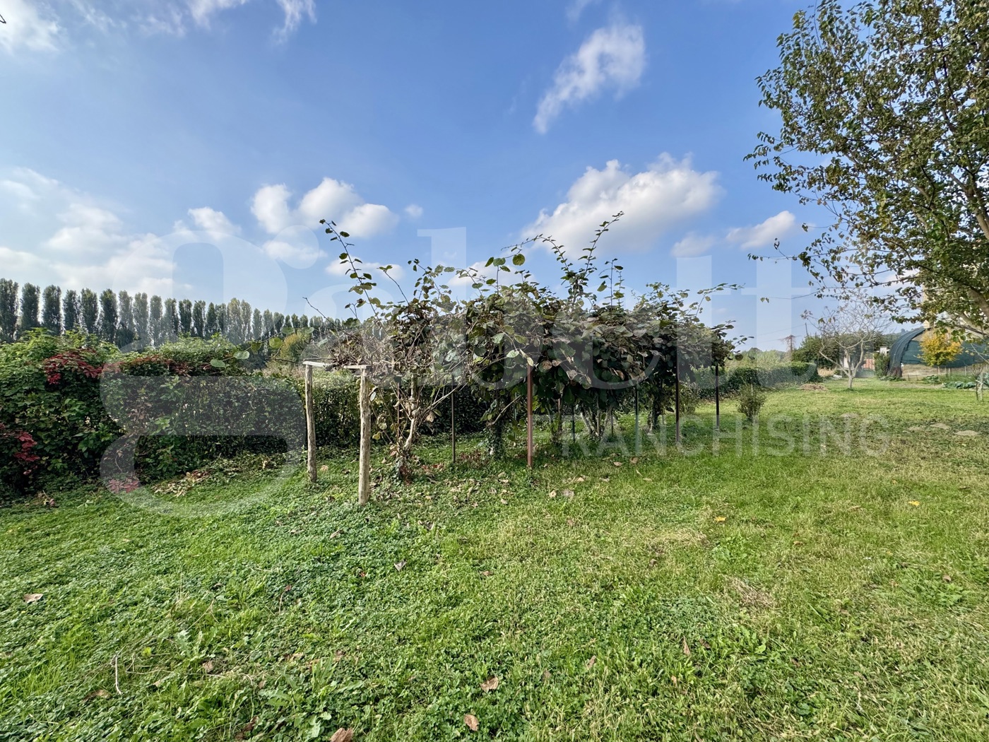 Casa indipendente con giardino a Moncalieri