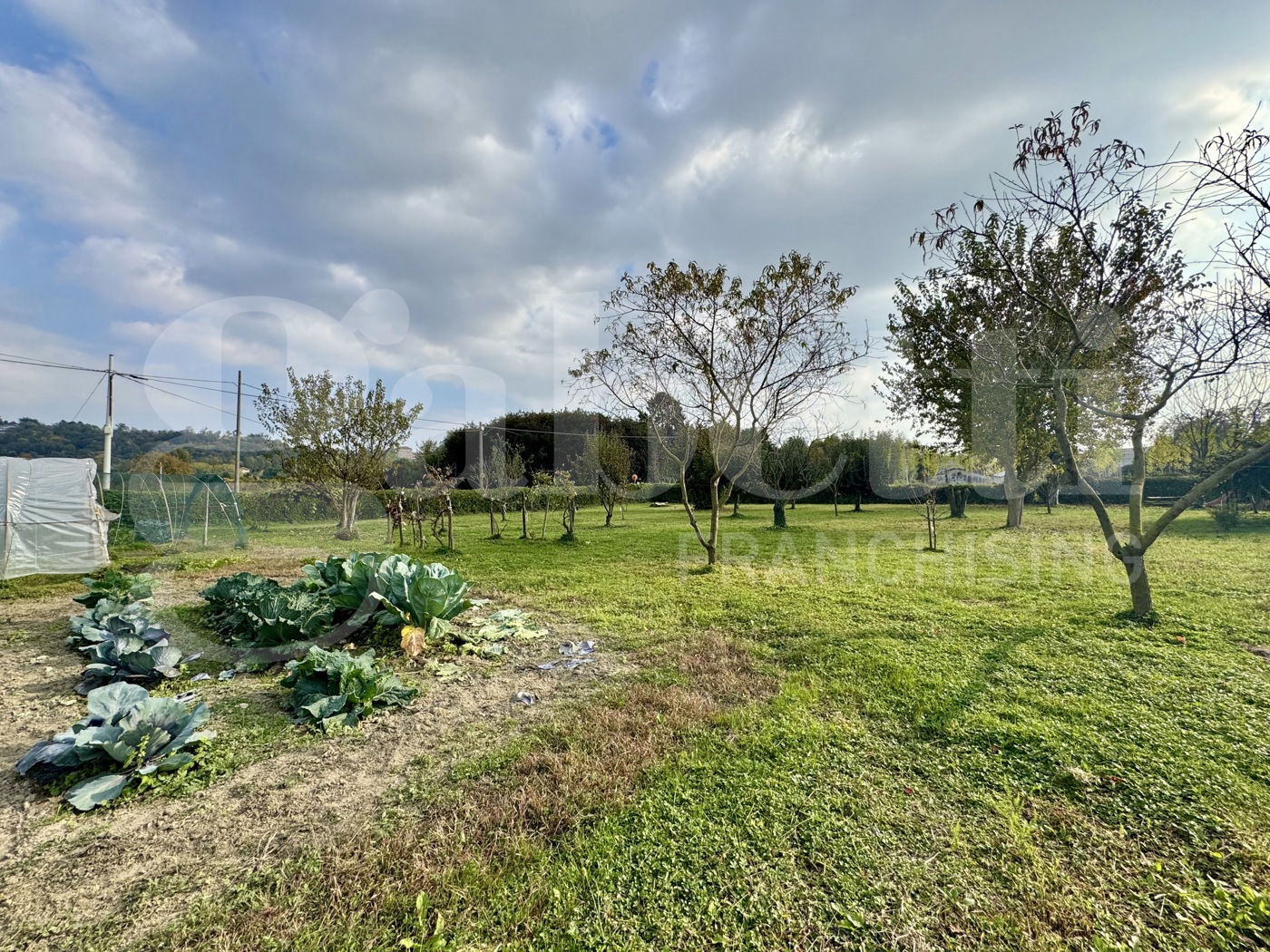 Casa indipendente con giardino a Moncalieri