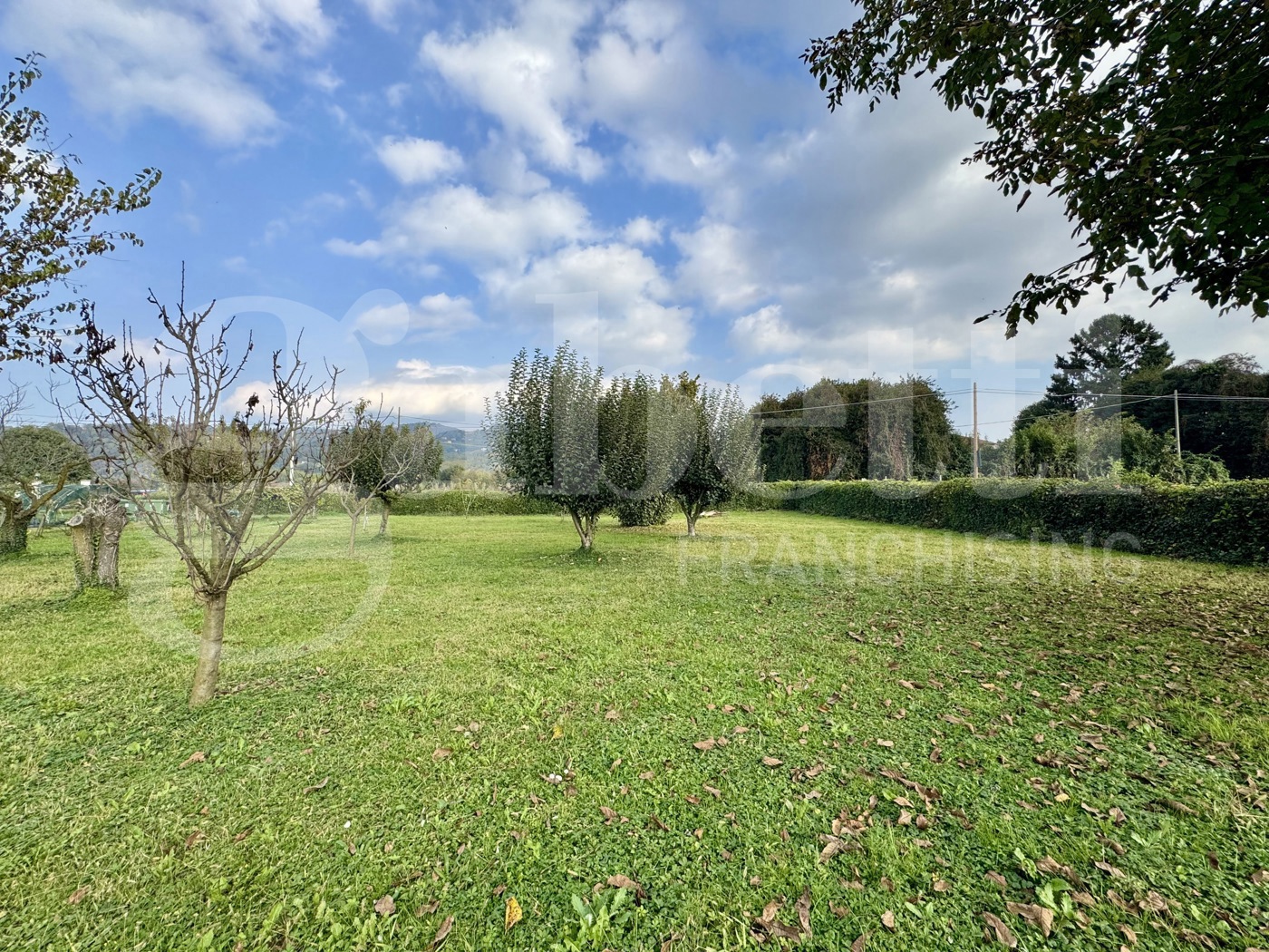 Casa indipendente con giardino a Moncalieri
