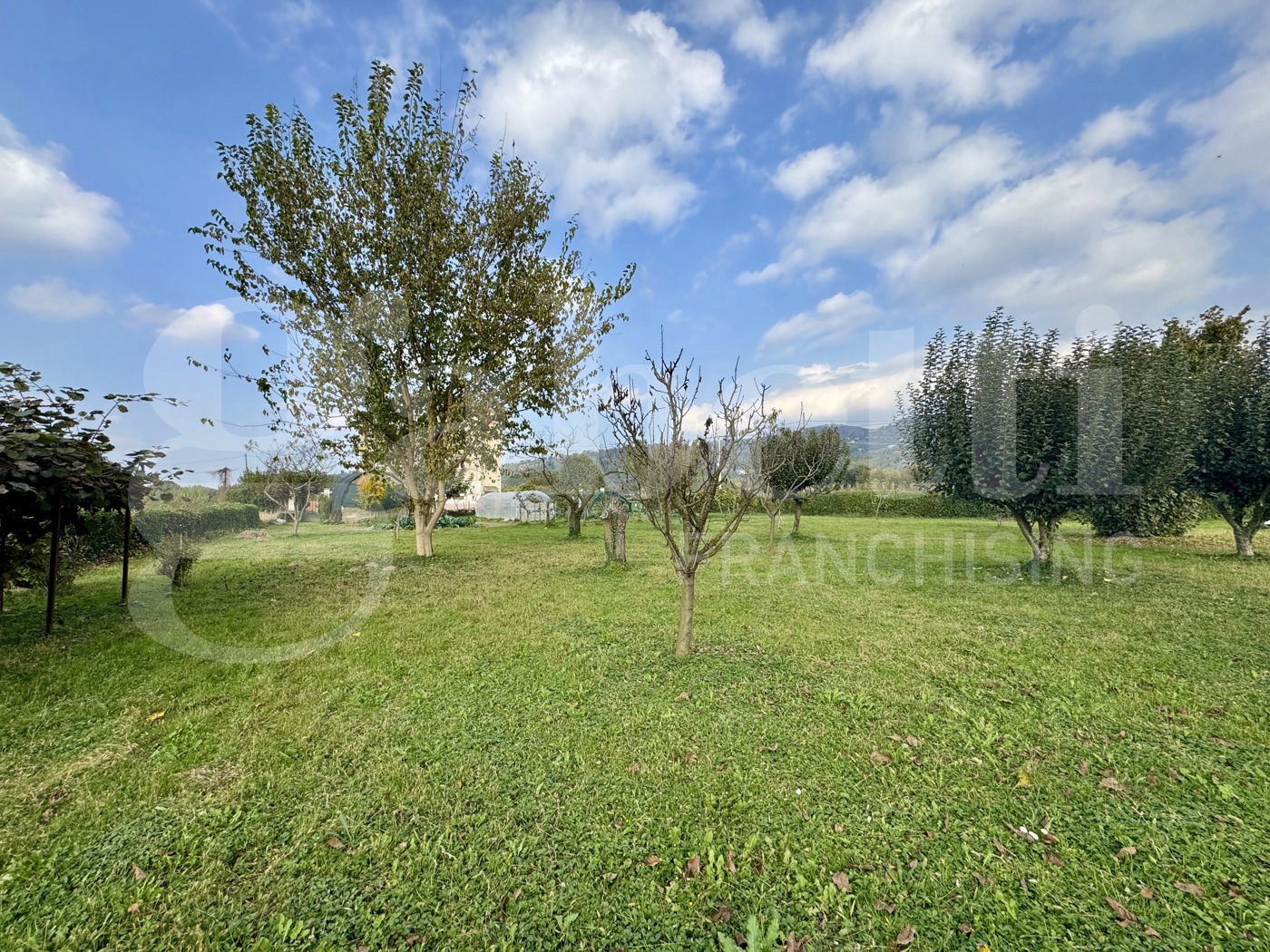 Casa indipendente con giardino a Moncalieri