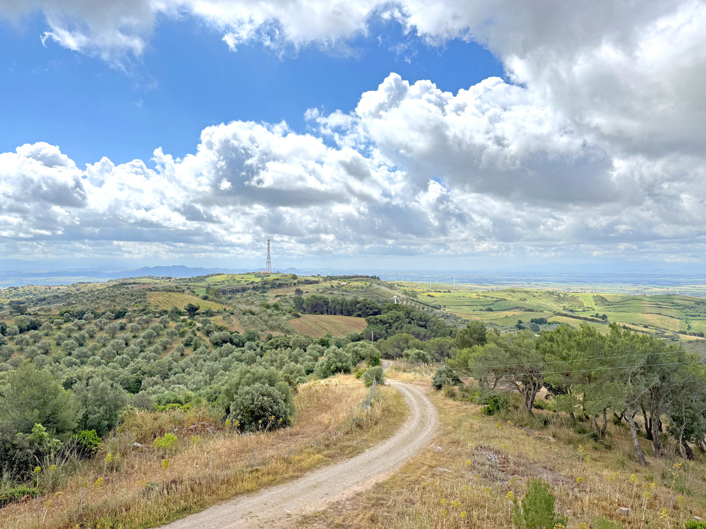 Magazzino in vendita a Villanovaforru
