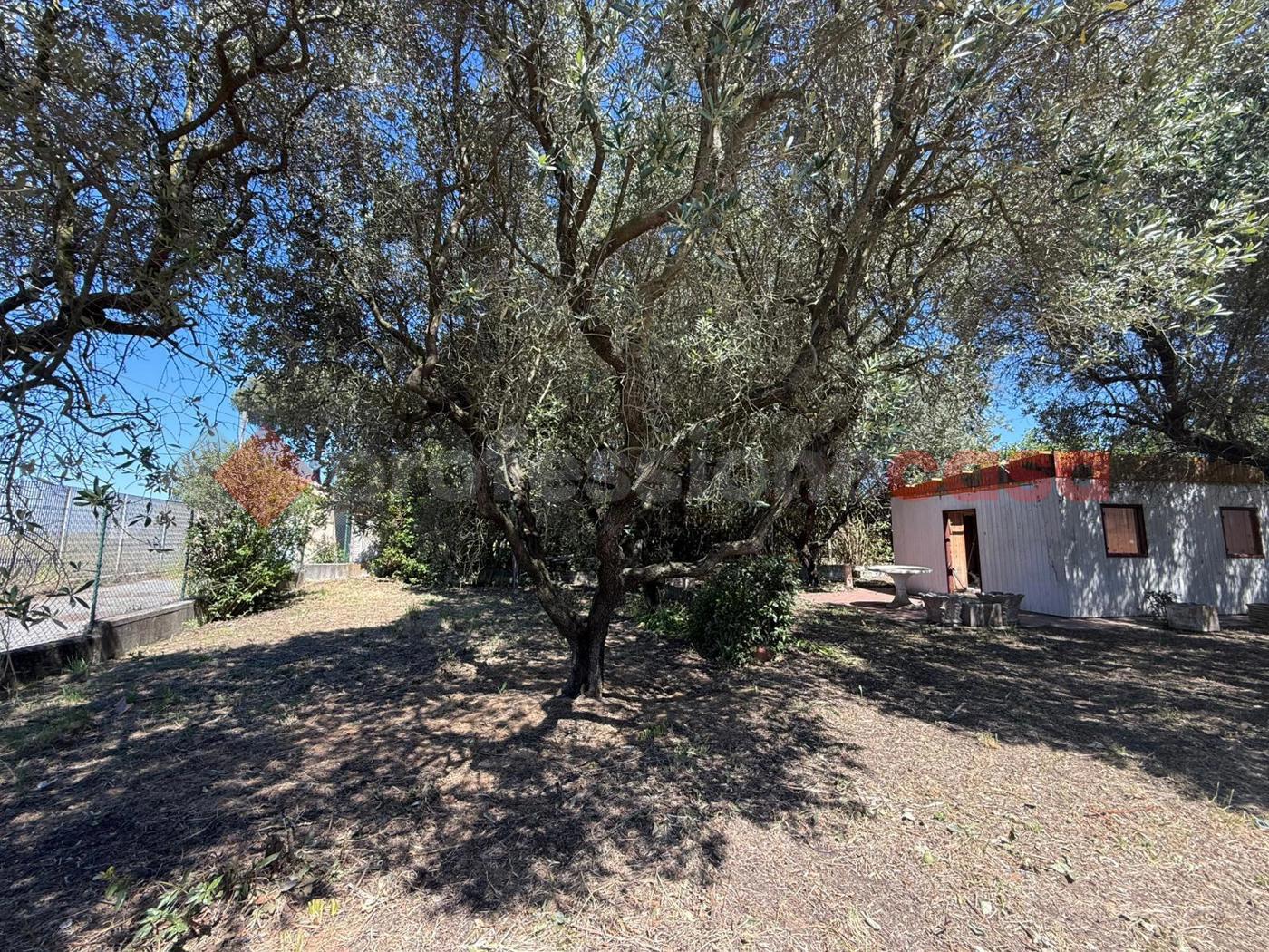 Terreno Edificabile in vendita a Roma