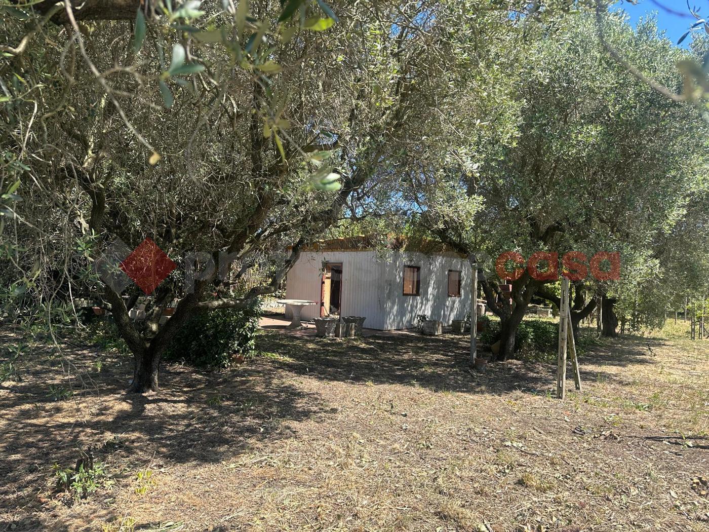 Terreno Edificabile in vendita a Roma