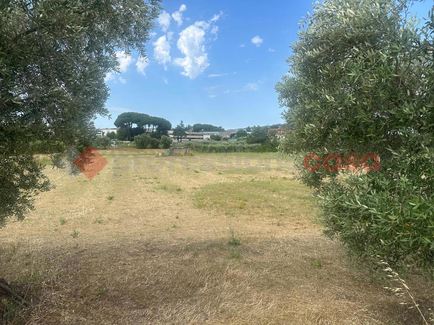 Terreno Agricolo in vendita a Albano Laziale