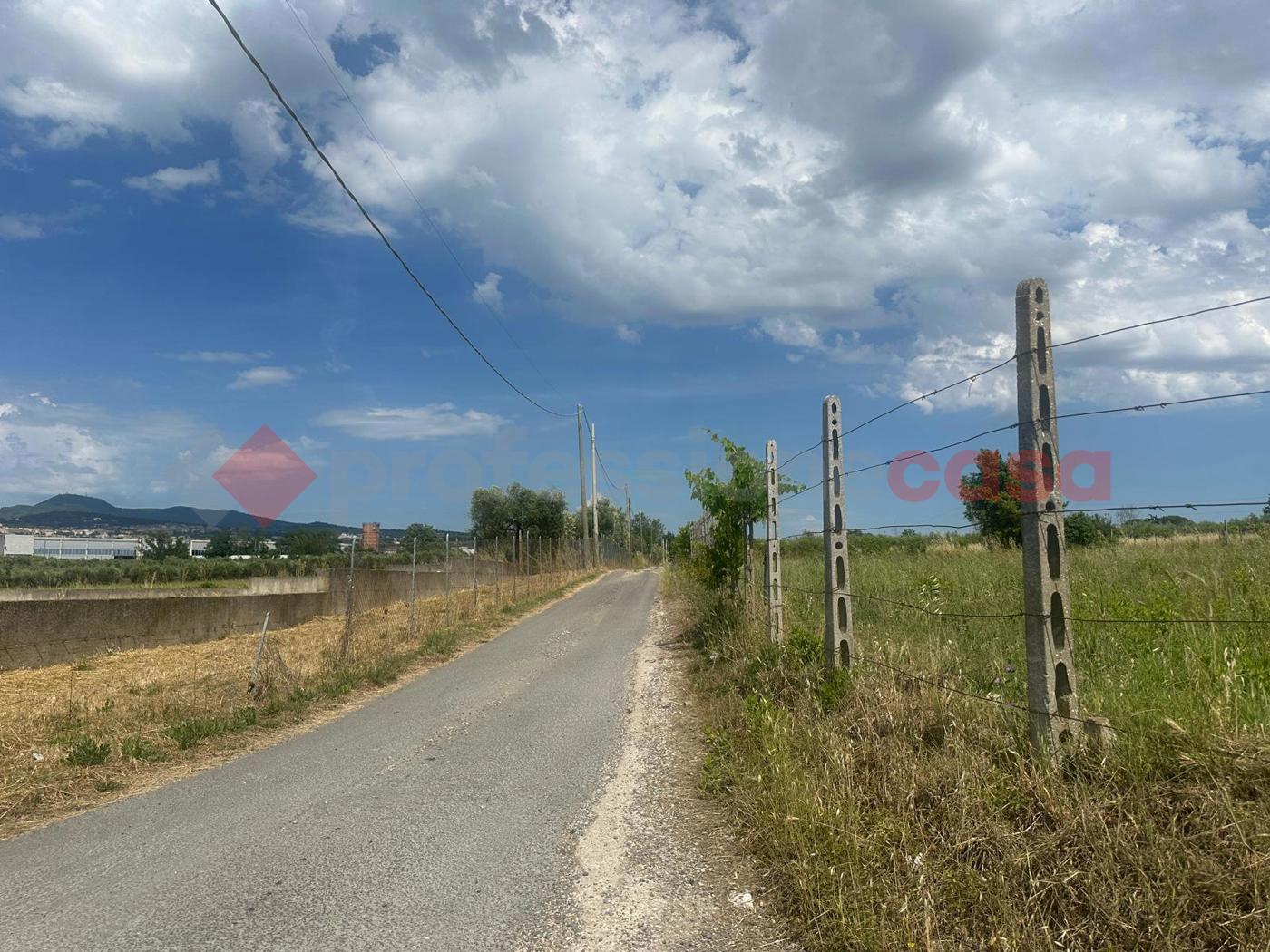 Terreno Agricolo in vendita a Albano Laziale