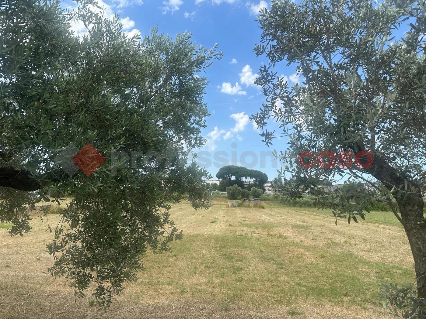 Terreno Agricolo in vendita a Albano Laziale