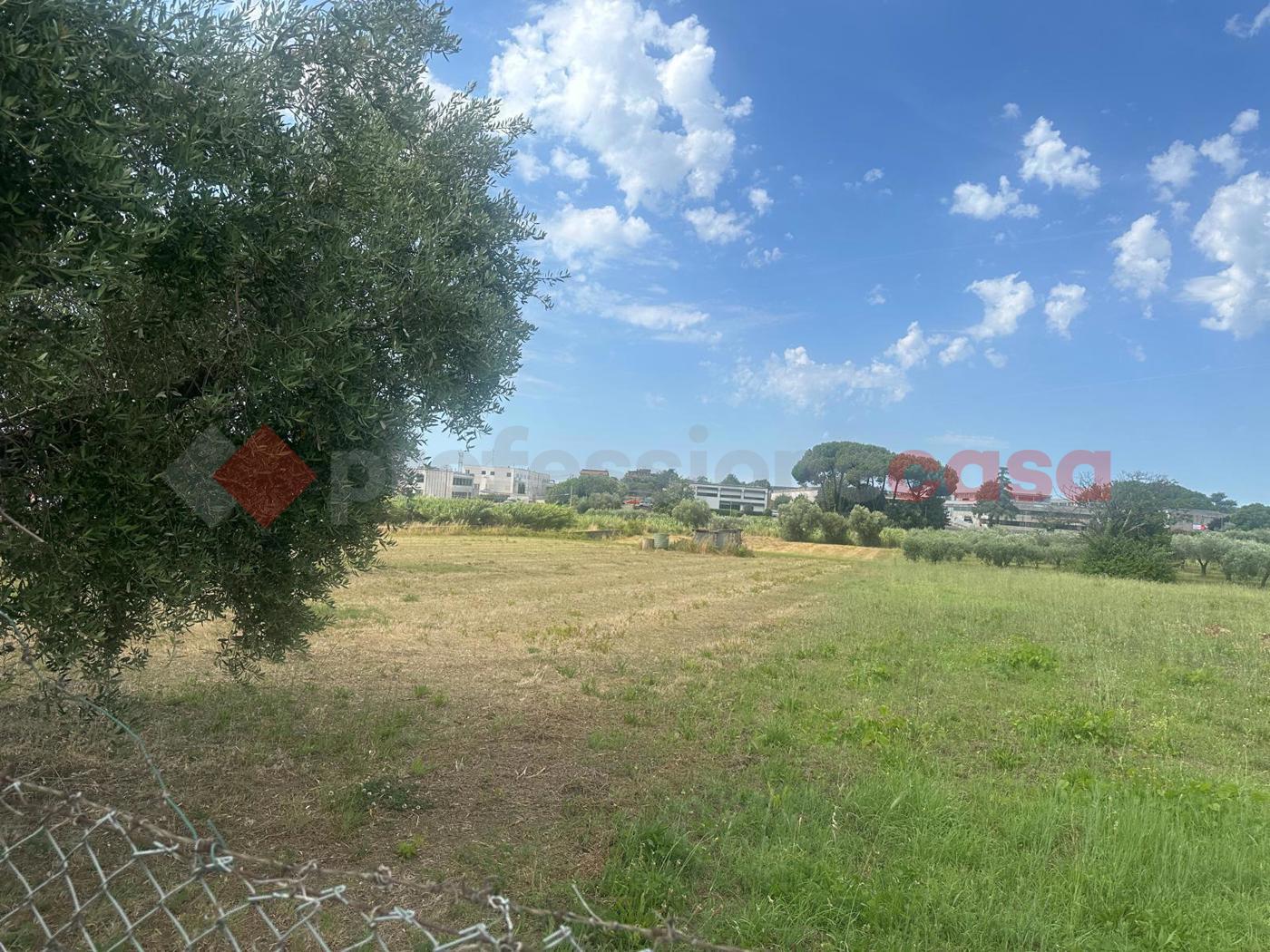 Terreno Agricolo in vendita a Albano Laziale