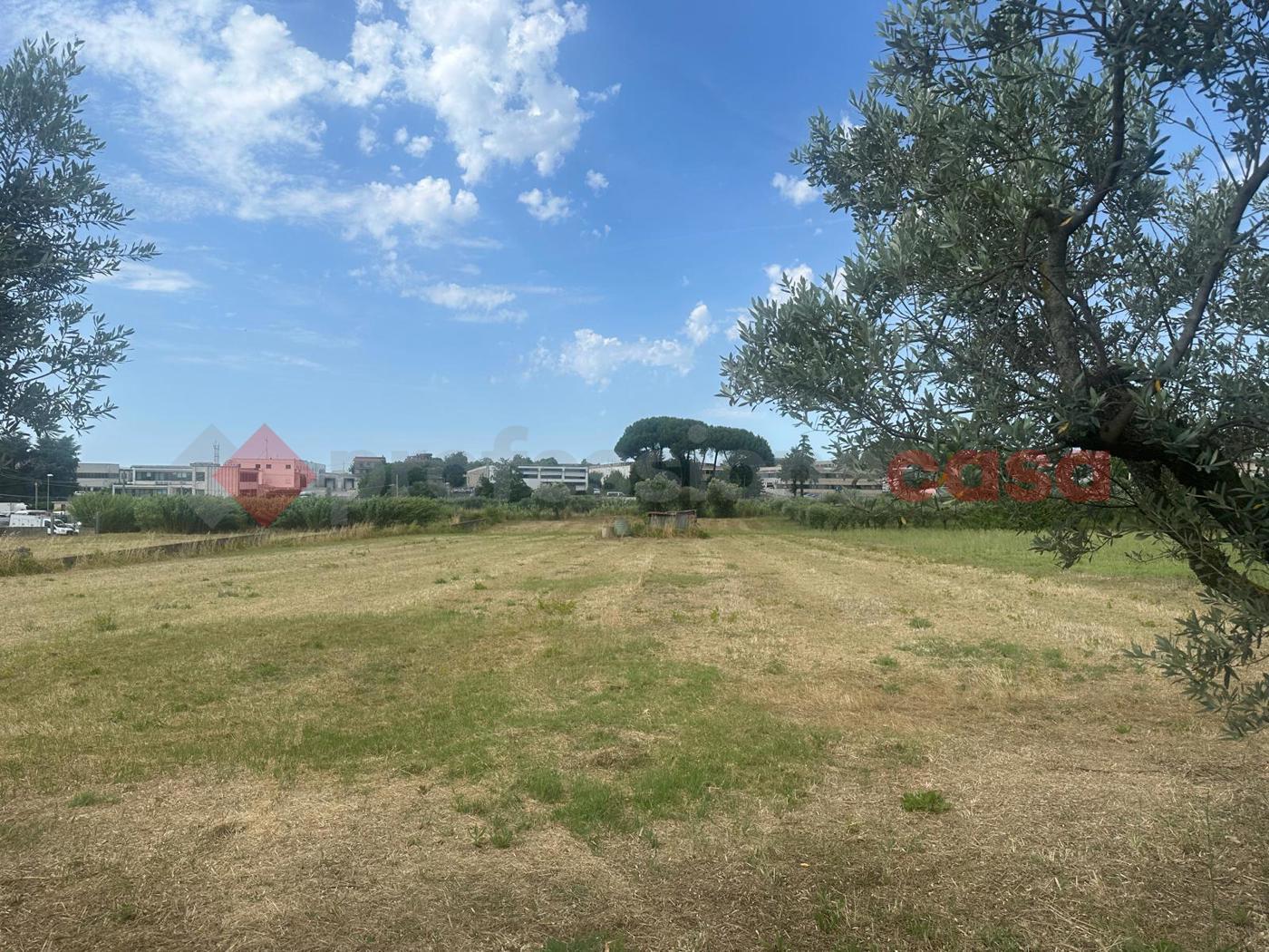 Terreno Agricolo in vendita a Albano Laziale