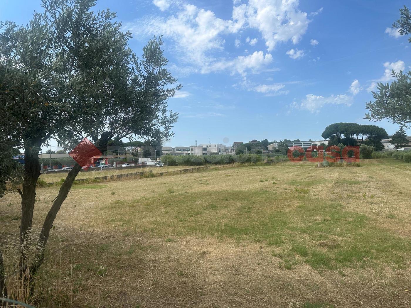 Terreno Agricolo in vendita a Albano Laziale