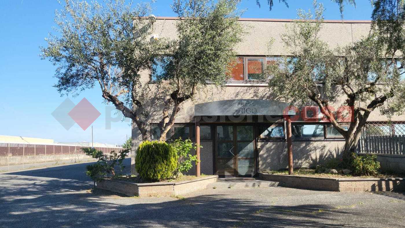 Capannone in affitto a Albano Laziale