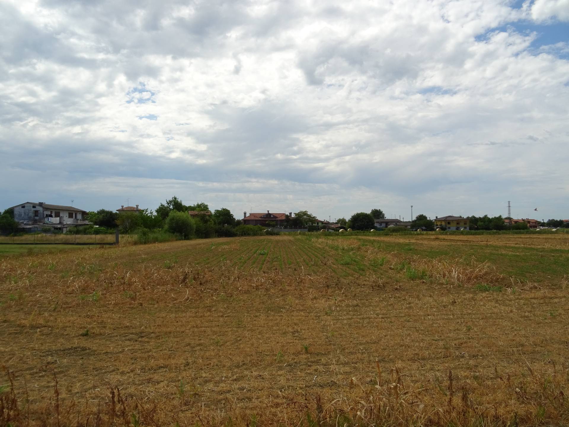 Terreno in vendita a Carlino