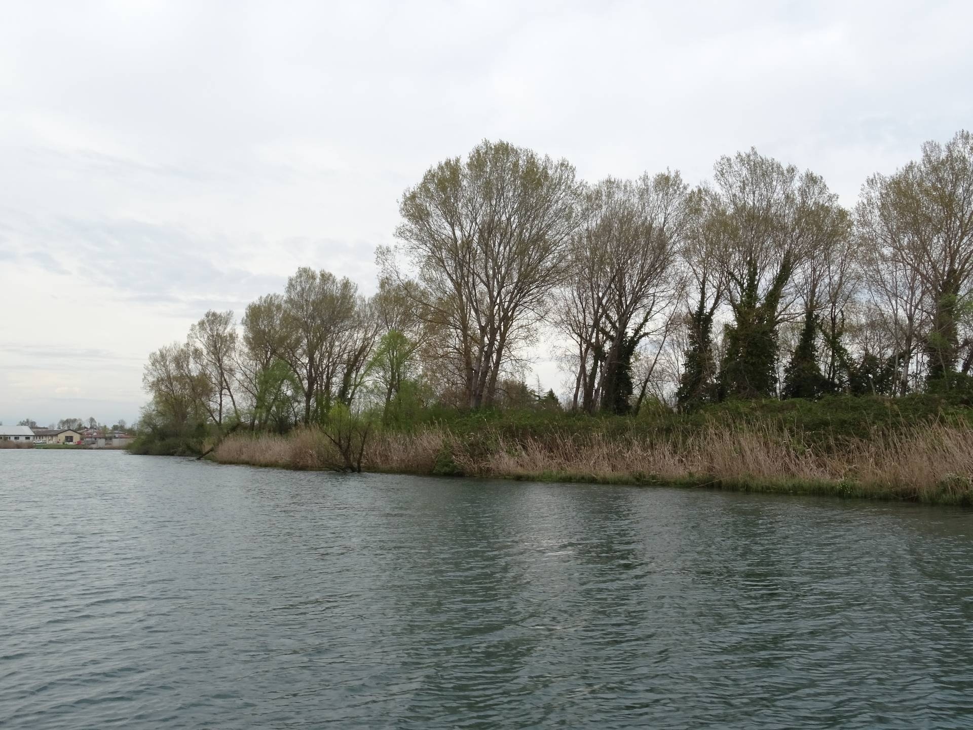 immagine annuncio 4 di 6